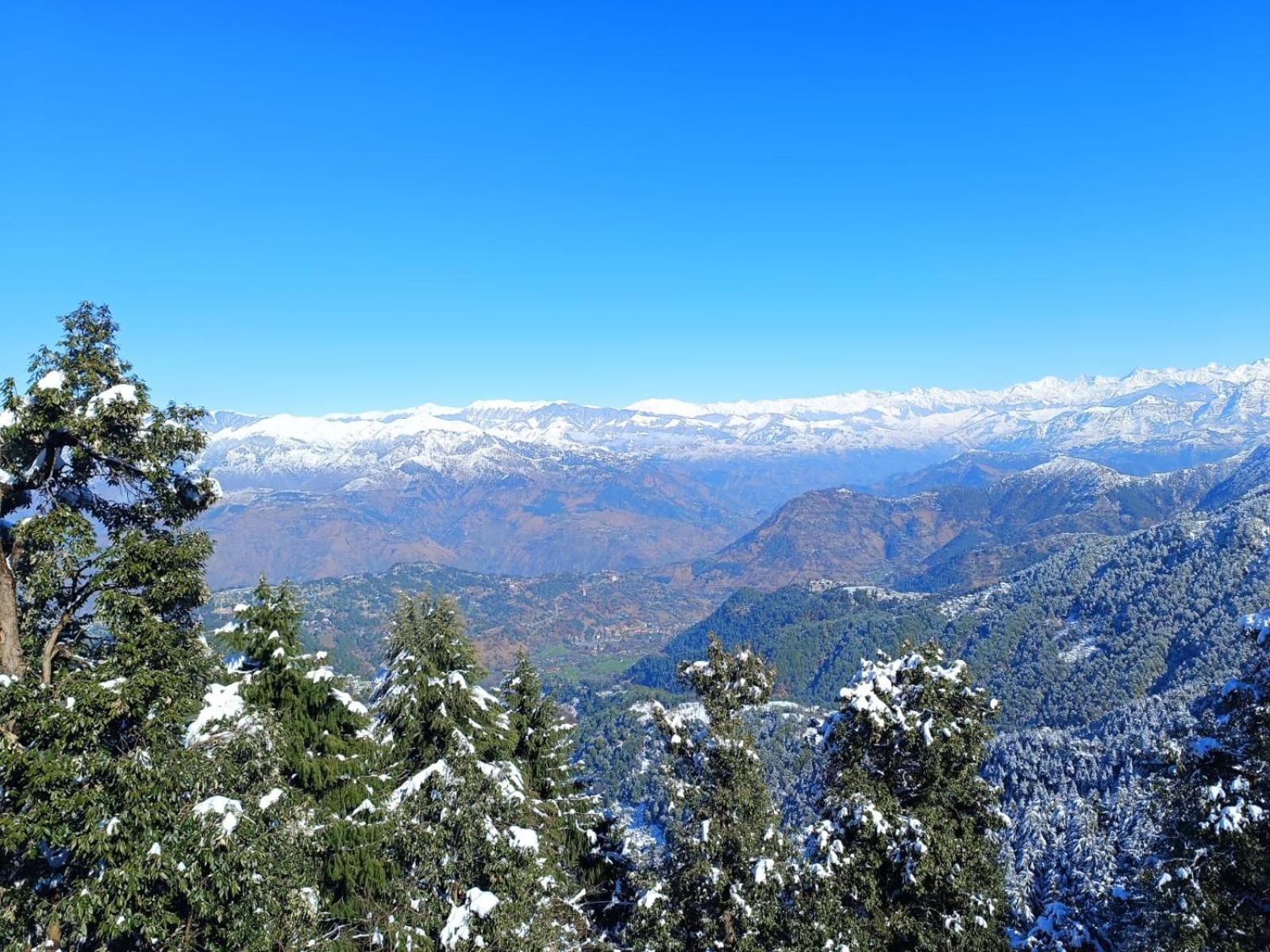 Surya Resort Dalhousie Bagian luar foto